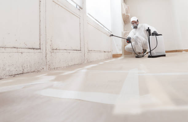 24/7 Emergency Bathroom Mold Removal experts in San Antonio, TX